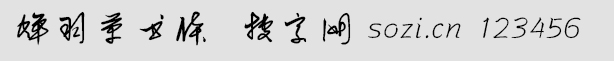 sݕw