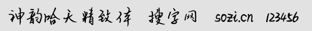 神韻哈天精致體